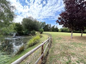 Garden (2)- click for photo gallery